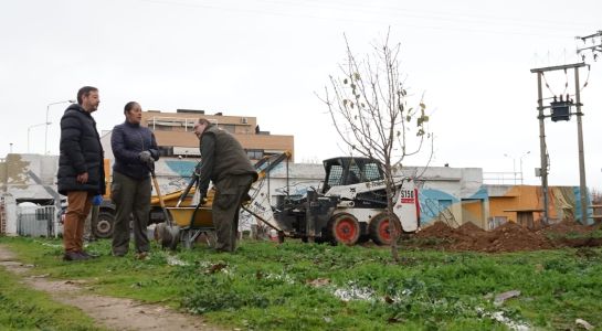 Santa Marta formará a 15 desempleados en Jardinería