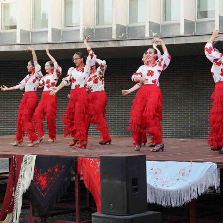 Festival provincial  de sevillanas-12